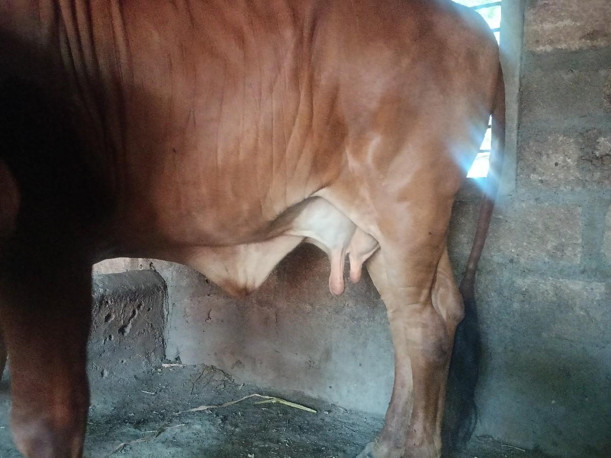 થંબનેલ 3