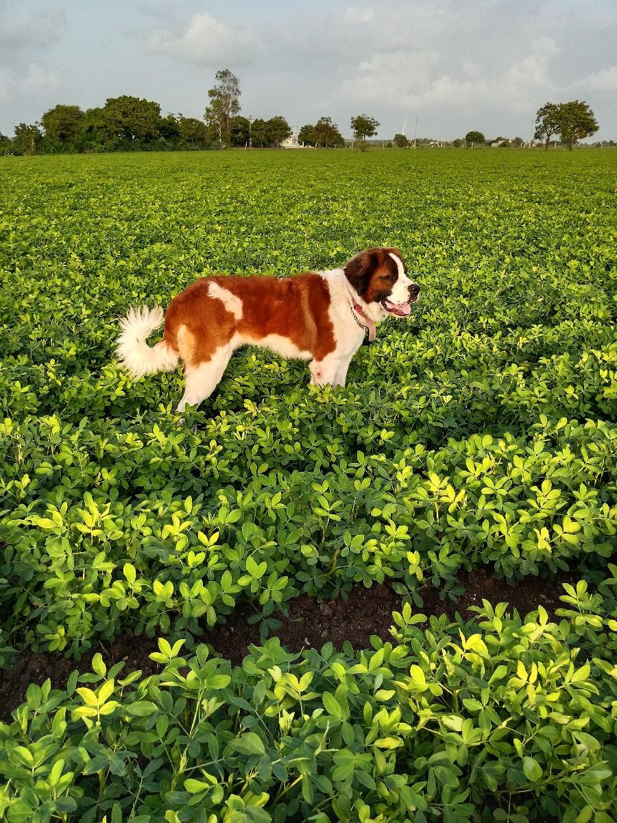 થંબનેલ 3