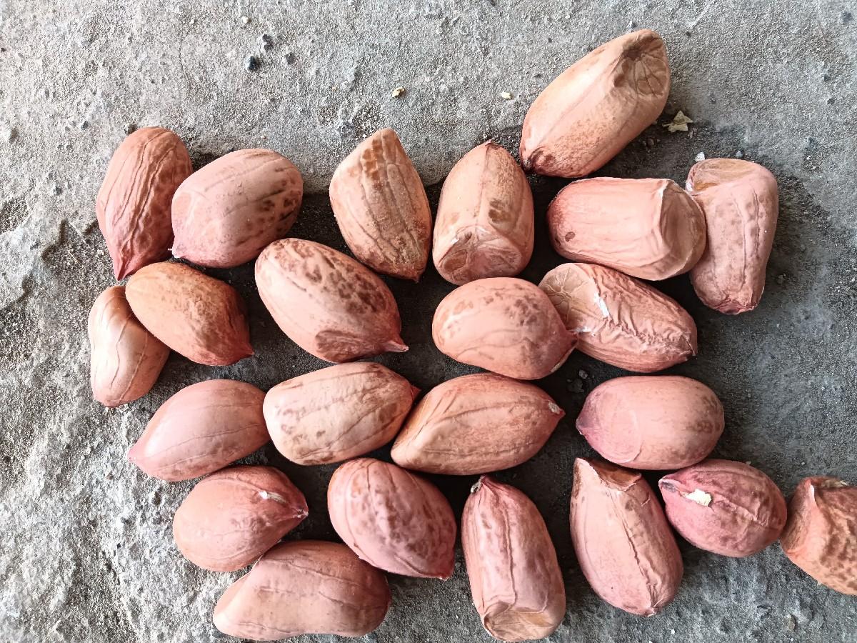 20 no koru madavinu biyaran