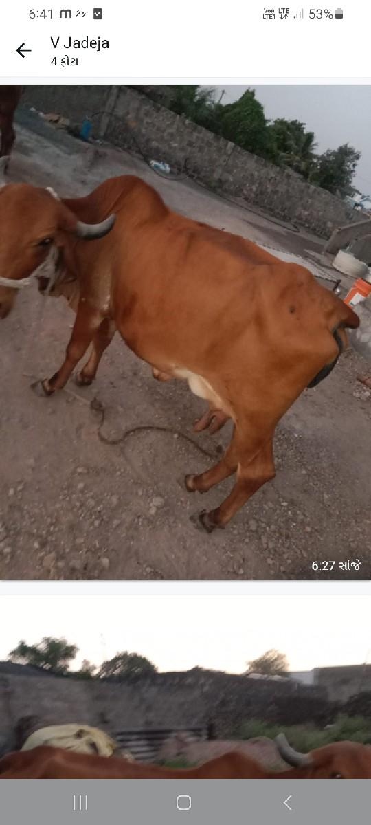 થંબનેલ 2