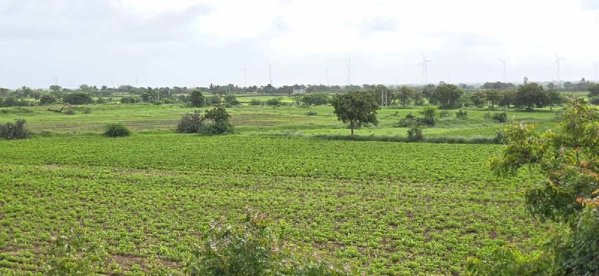 થંબનેલ 3