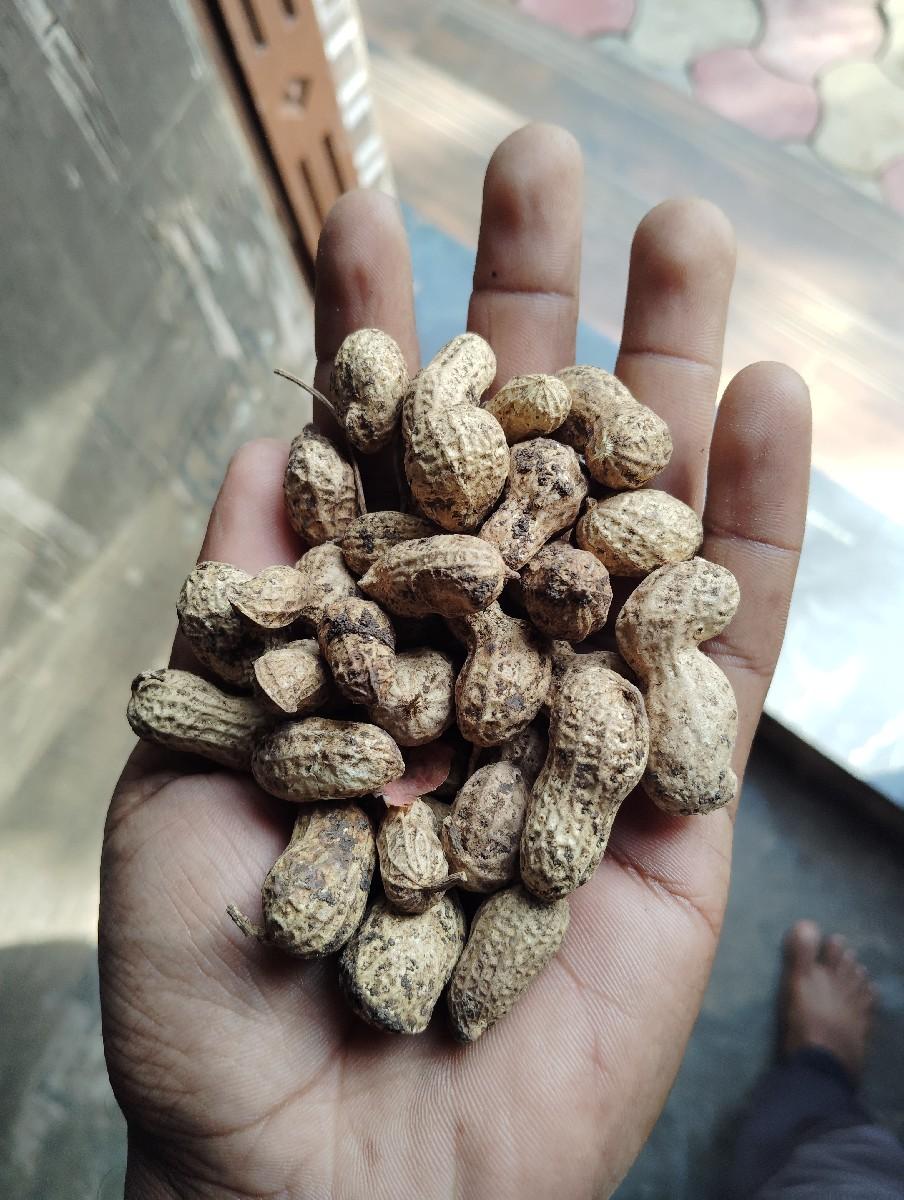 થંબનેલ 3