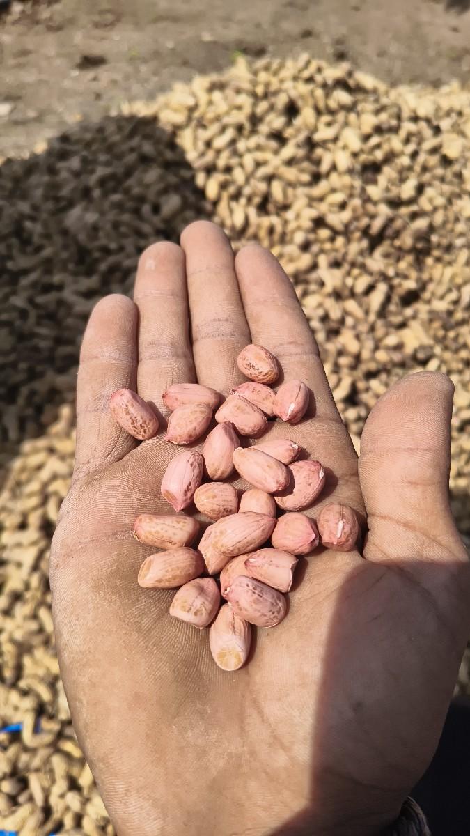 थंबनेल 3