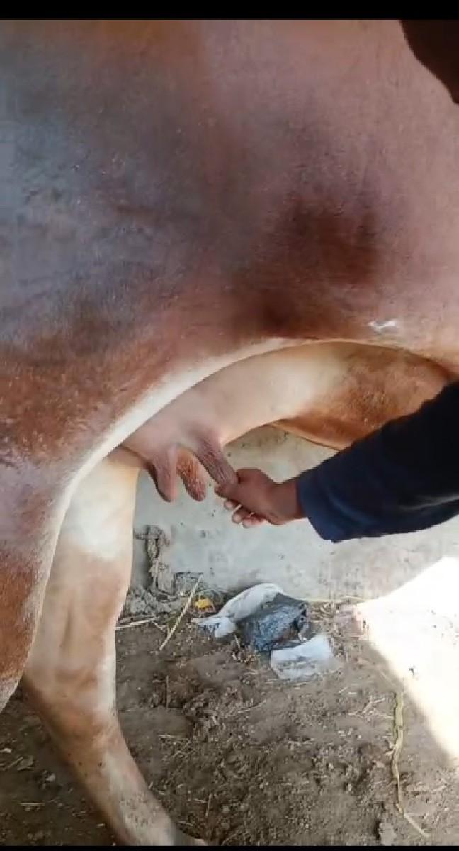 થંબનેલ 3