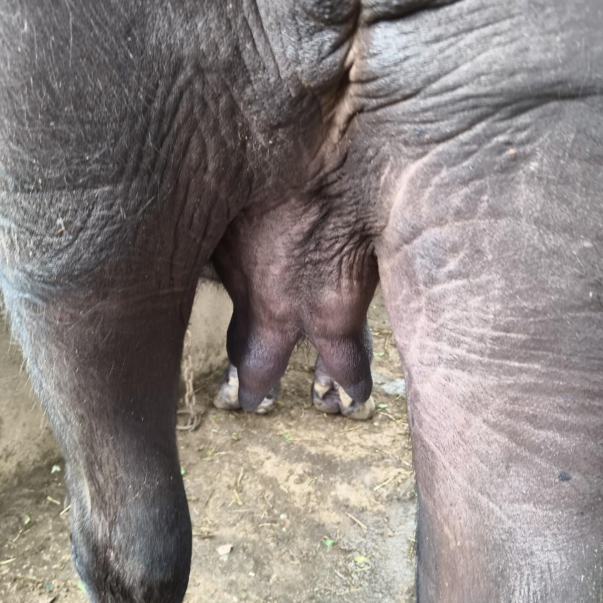 થંબનેલ 3