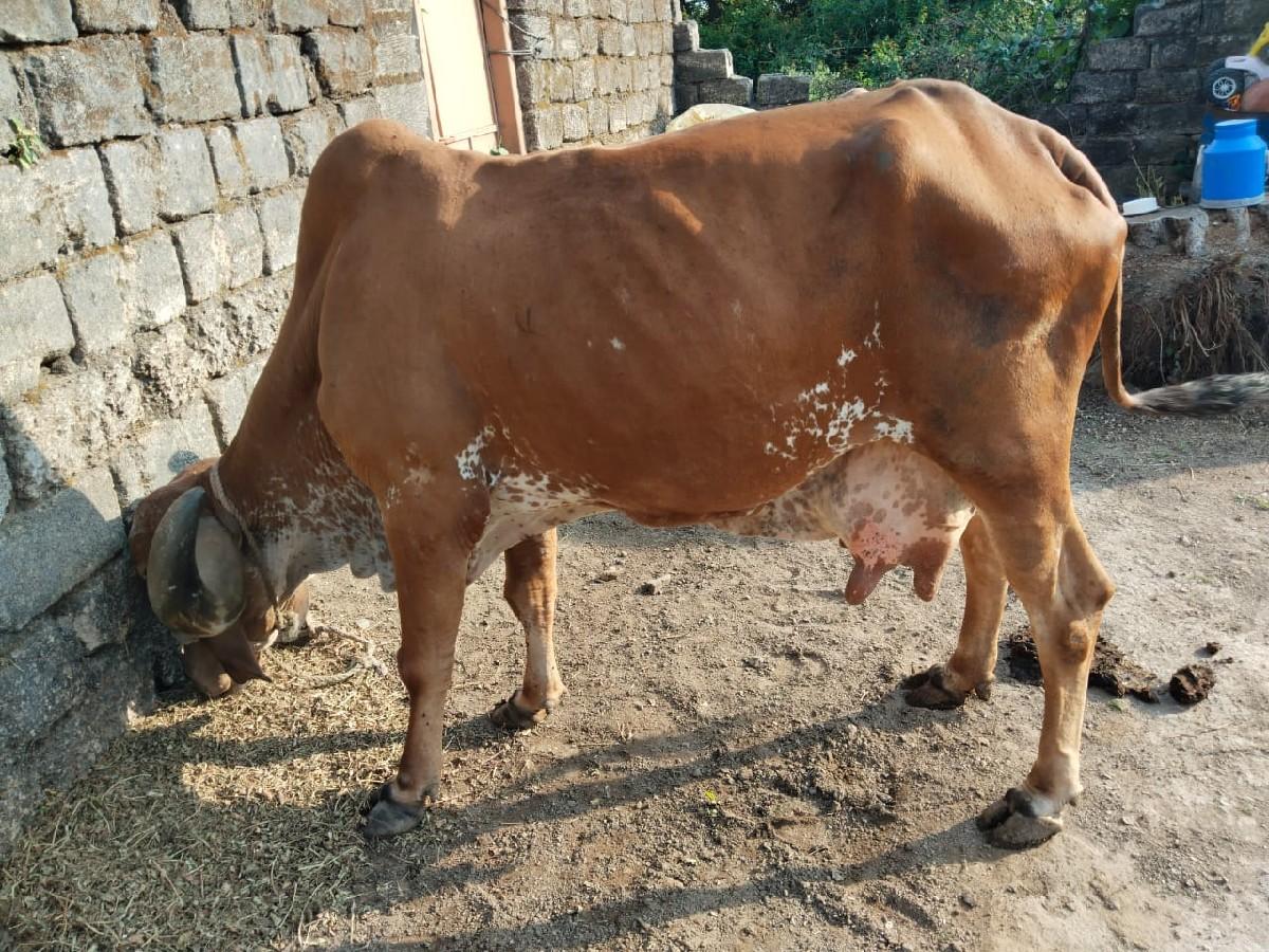 थंबनेल 2