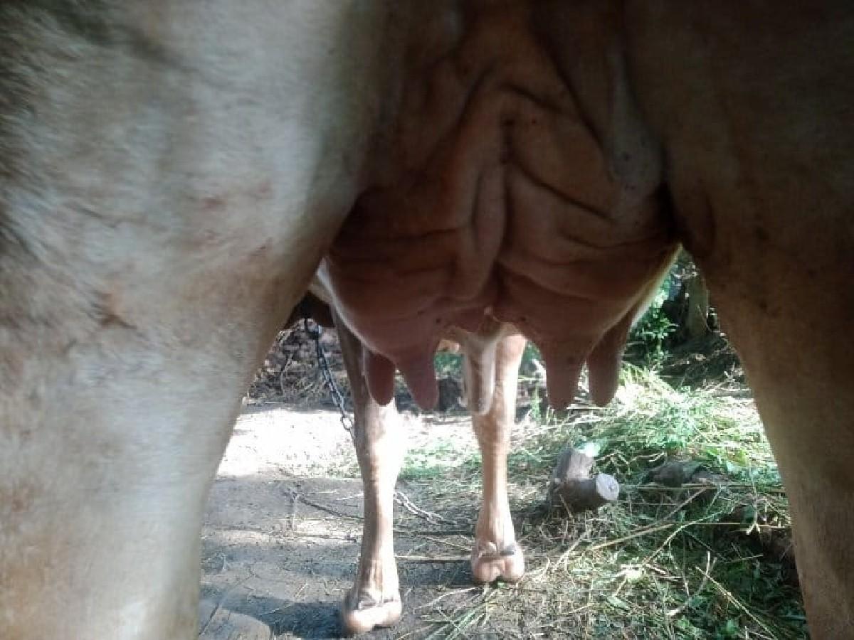 થંબનેલ 5