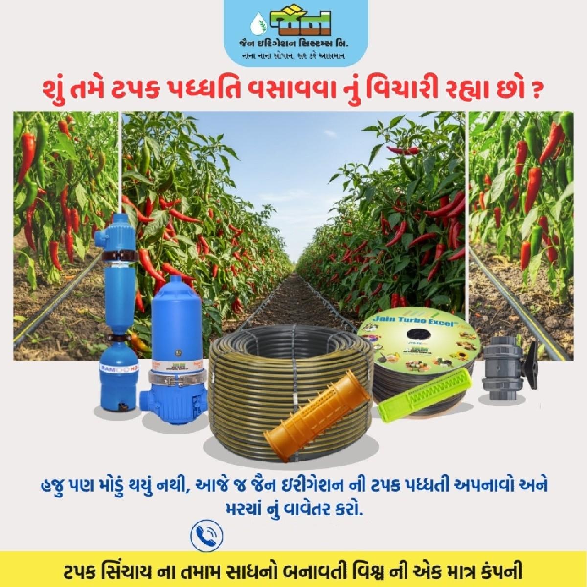 જૈન કંપની દ્વીપ કે ફુવારા