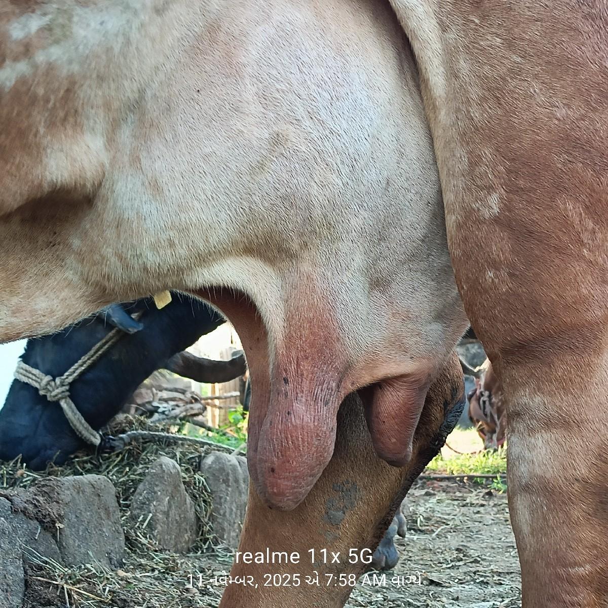 થંબનેલ 3