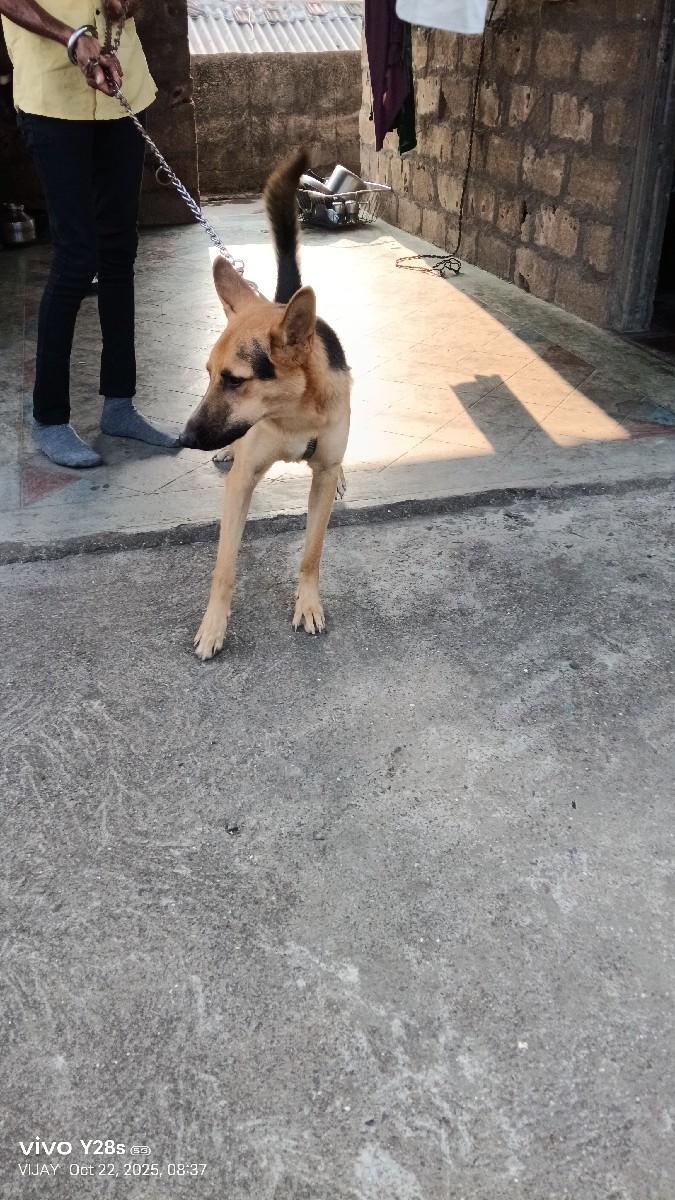 થંબનેલ 3