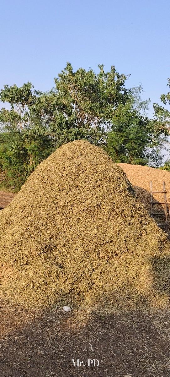 માંડવીયું વેચવાનું છે