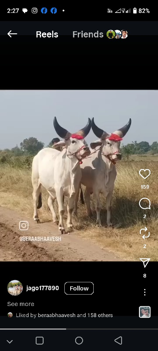 બળદ વેશવાનાશે