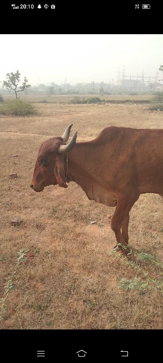 थंबनेल 2