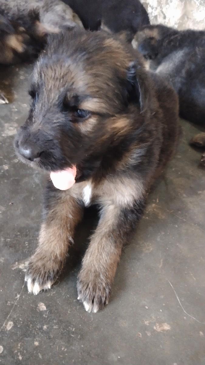 થંબનેલ 2