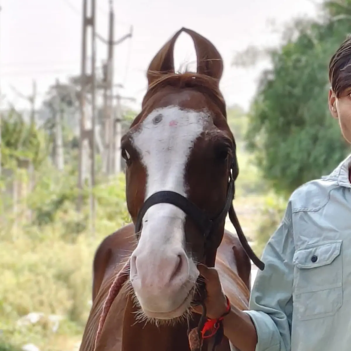 થંબનેલ 2