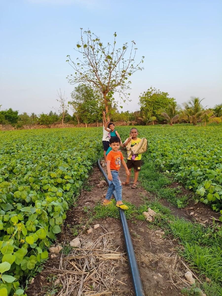 થંબનેલ 2