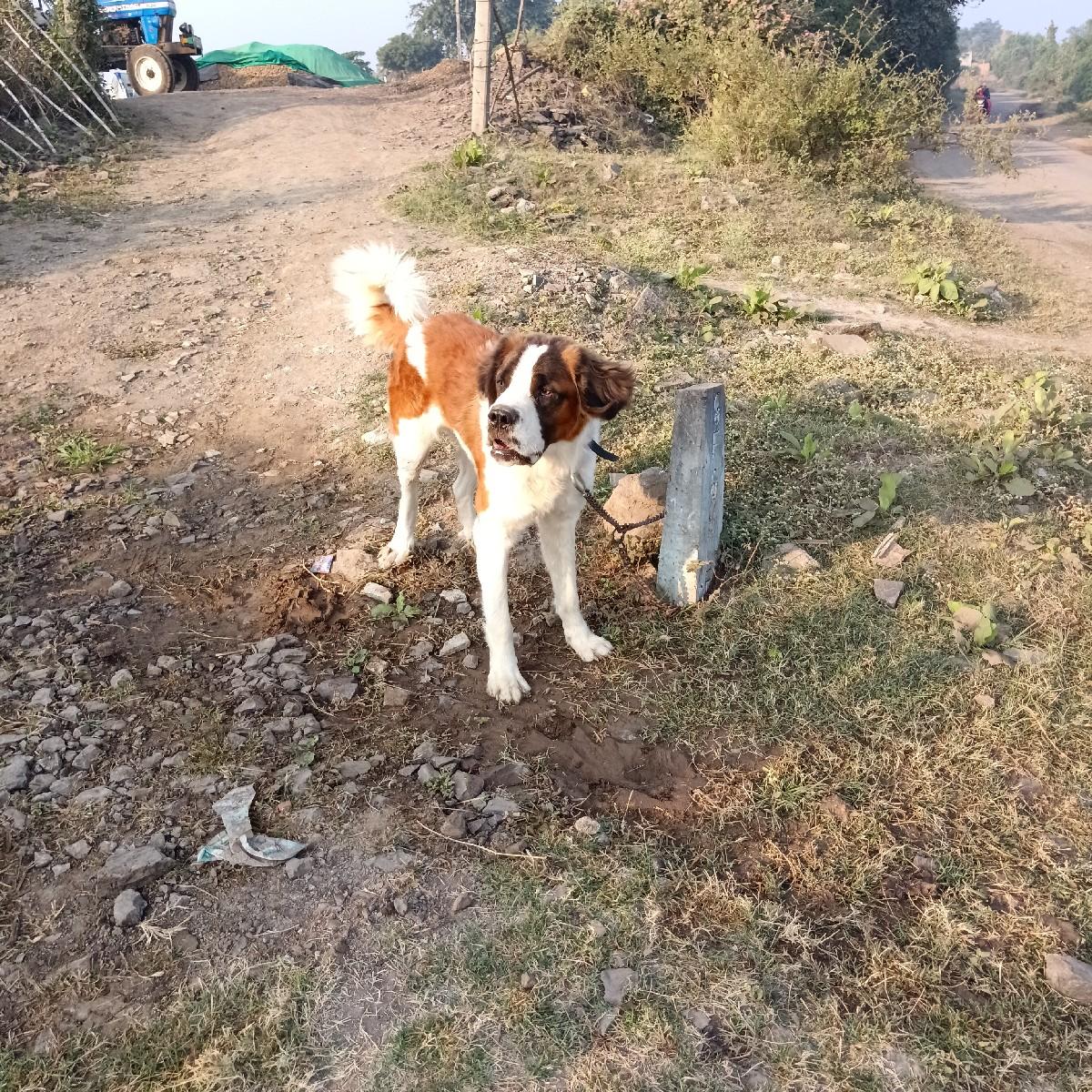 थंबनेल 2