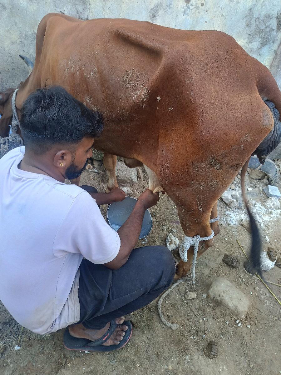 થંબનેલ 3