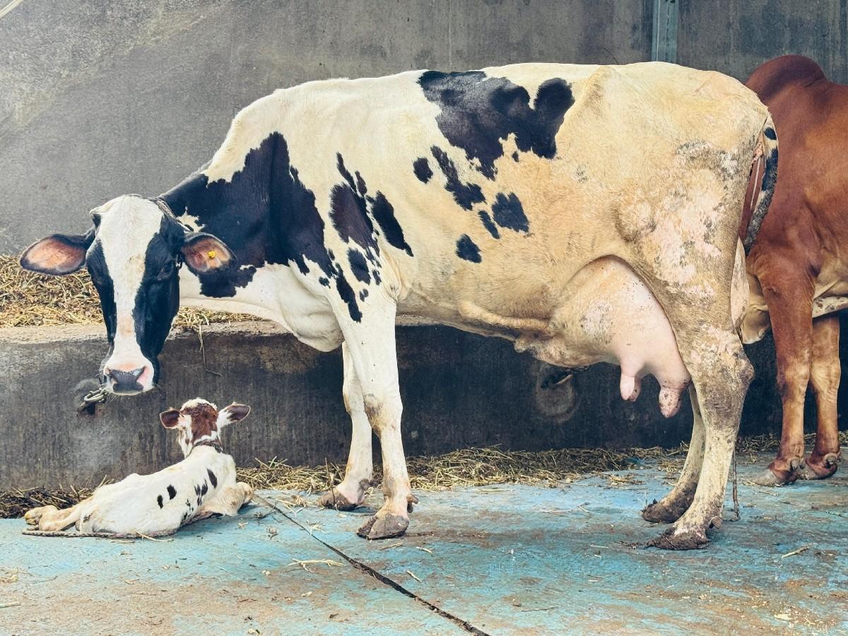 થંબનેલ 2