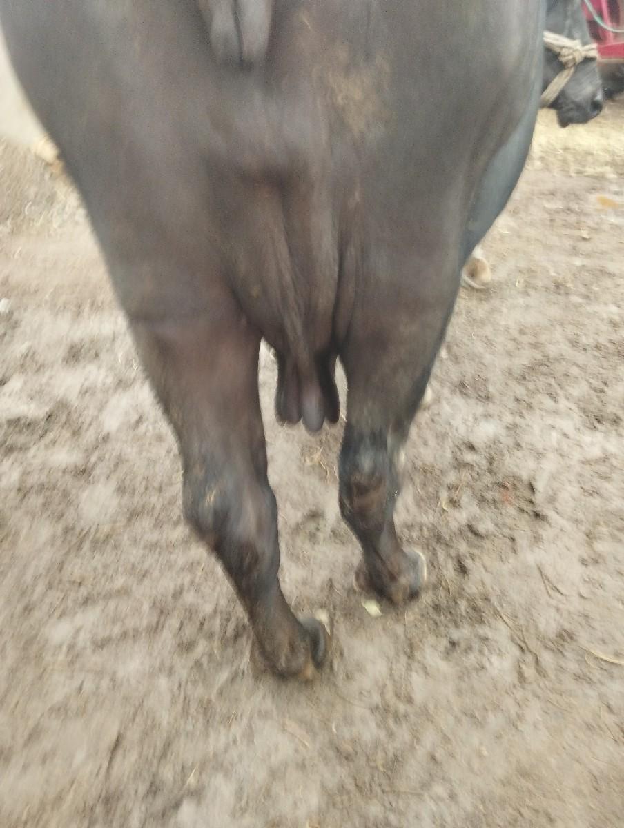 થંબનેલ 3