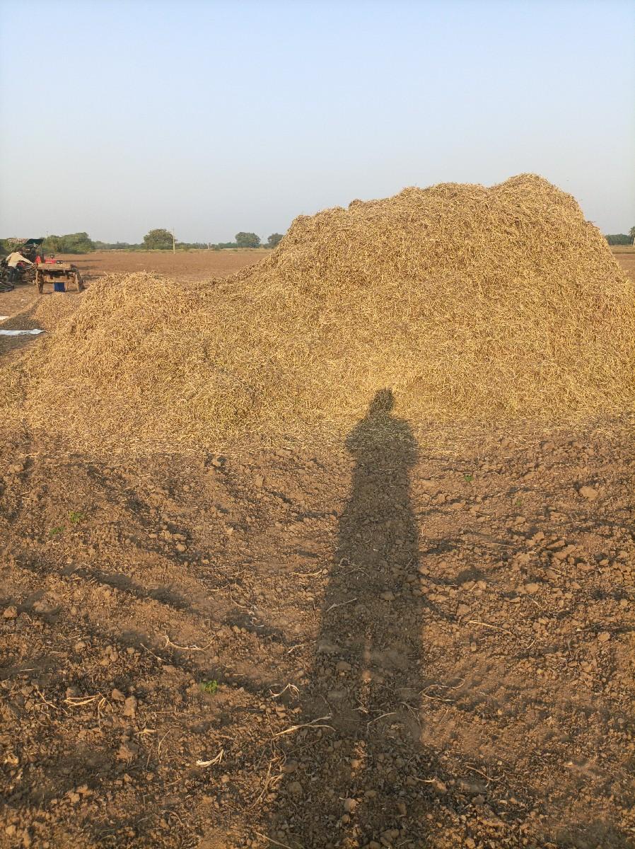 જી-૨૦ નો મગફળી નો કોરો ભુક્કો