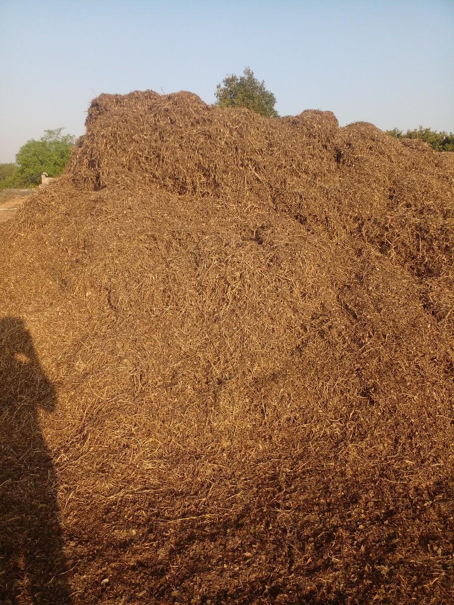 માડવી   નો   ભુકોવેચવાનોછે