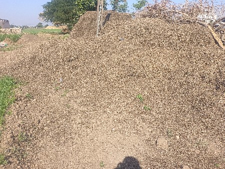 madvinu mogotu 15 viganu se