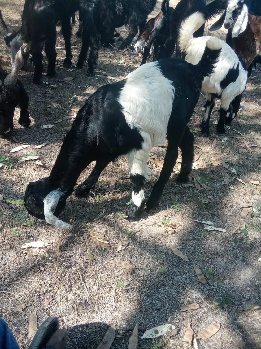 थंबनेल 2