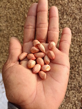 થંબનેલ 2