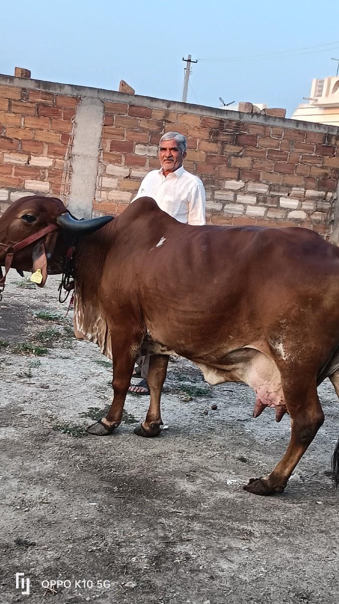 थंबनेल 3