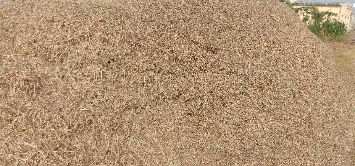 માંડવી નો ચારો વેચવા નો છે