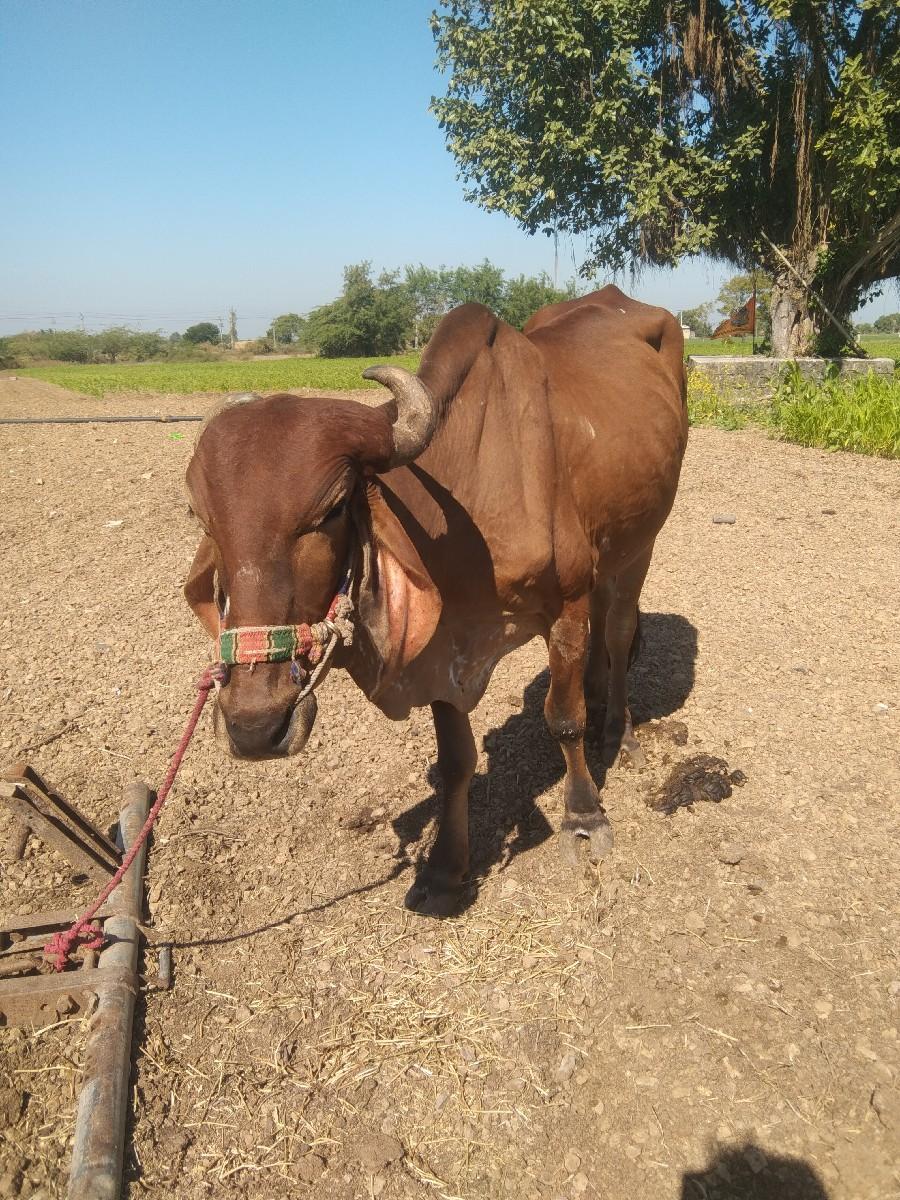 थंबनेल 3