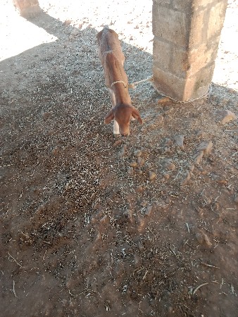 थंबनेल 3