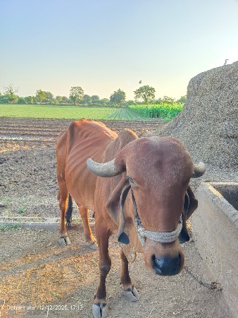 थंबनेल 2