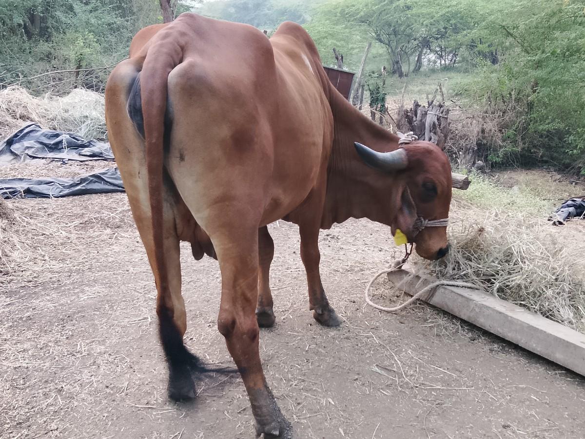 थंबनेल 6