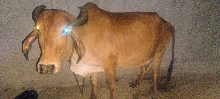 थंबनेल 2