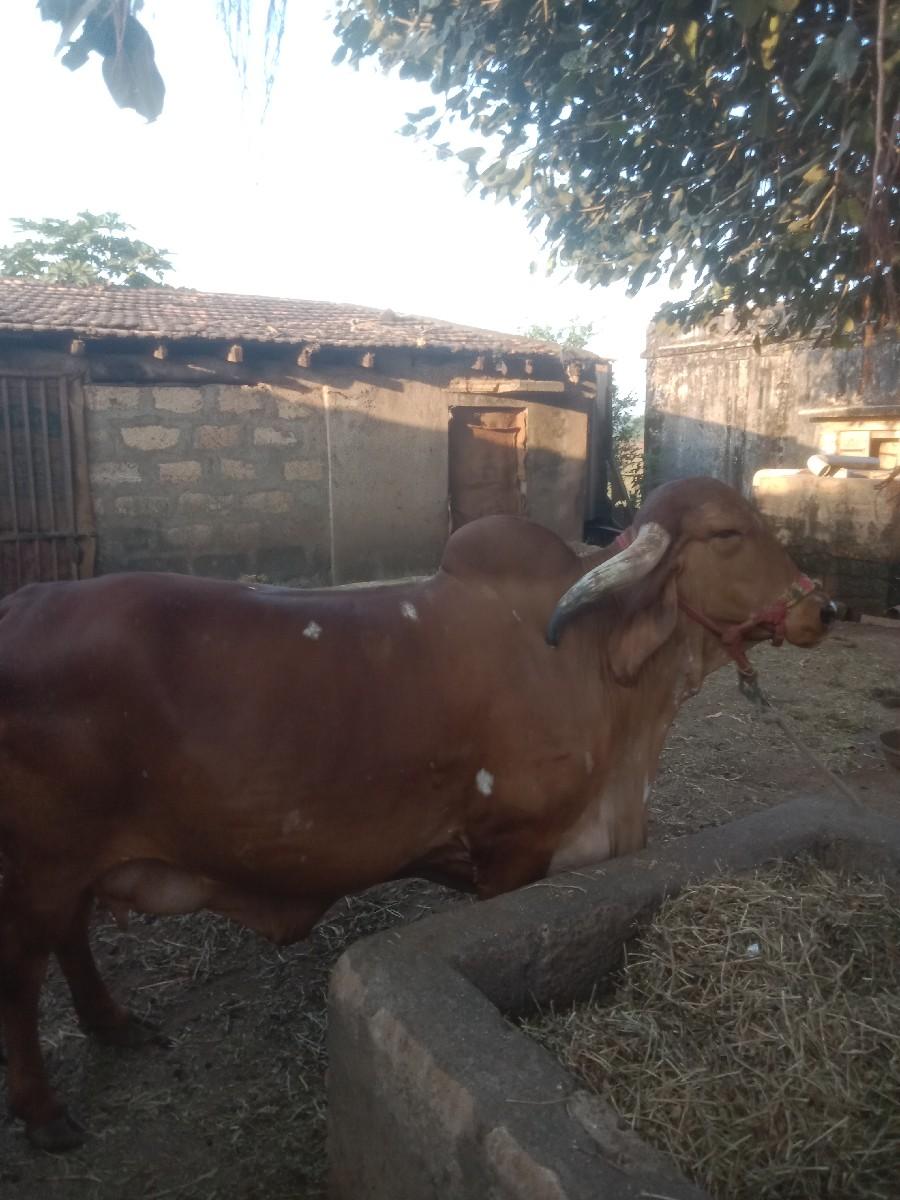 थंबनेल 2