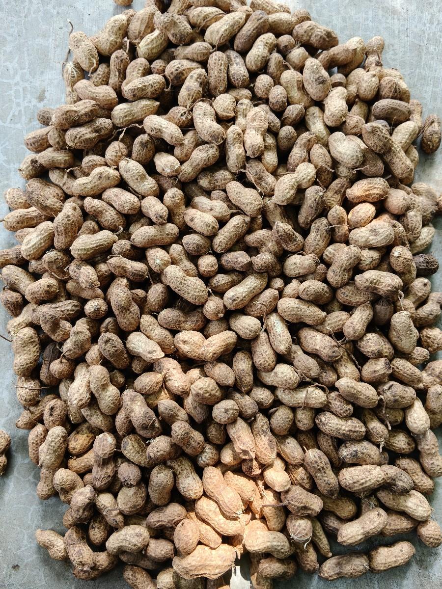 ગીરનાર 4 મગફળી વેચવાની છે.