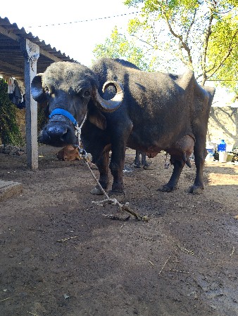 थंबनेल 3