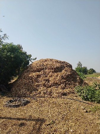 ભુકો વેસવાનો છે