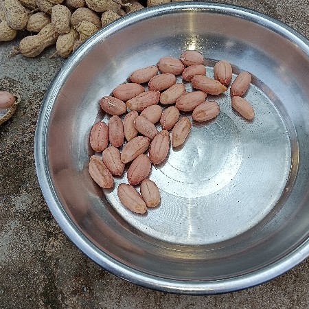 magfali 39no 55 no devani se