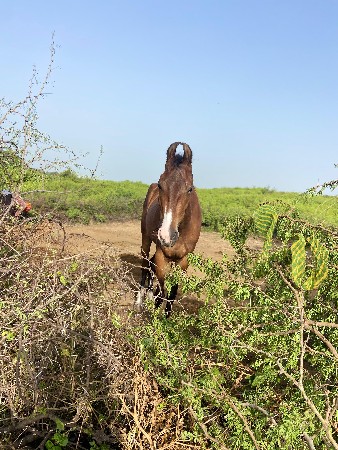 થંબનેલ 2