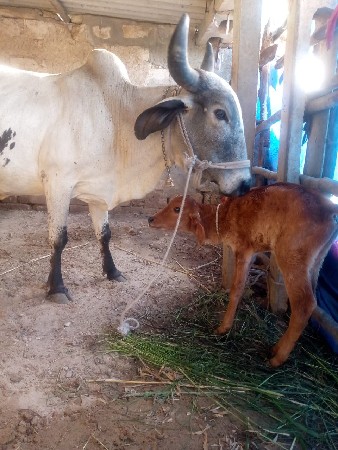 थंबनेल 3