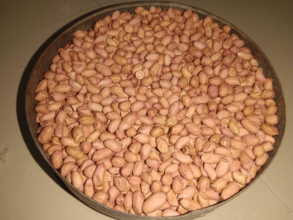 G20 mgfadi vecvani che kori