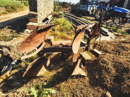 થંબનેલ 3