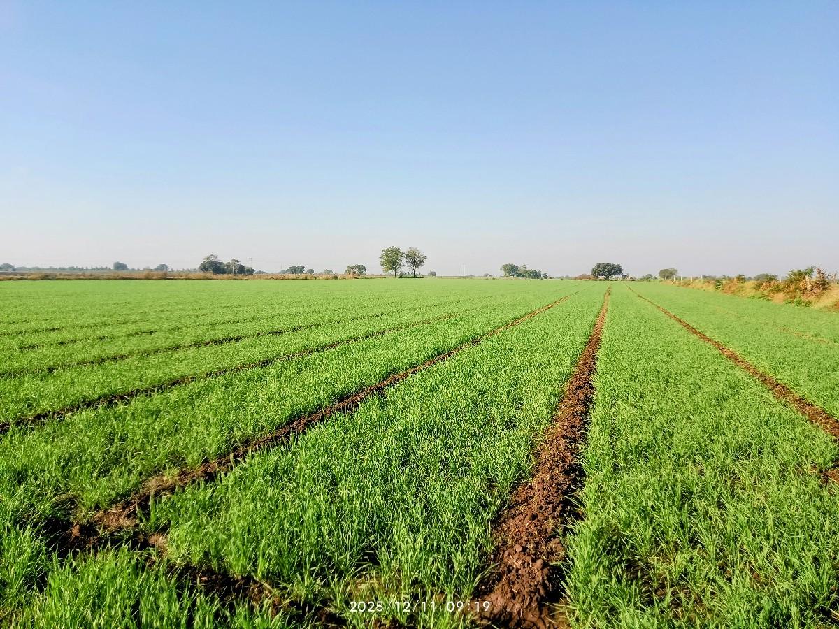 જમીન વેચવાની છે