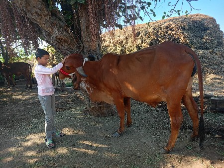 थंबनेल 3