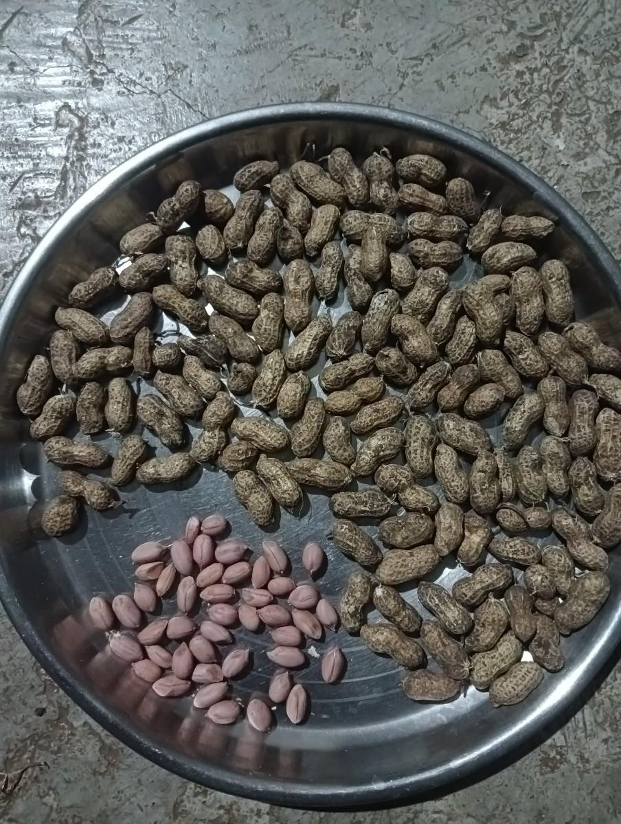 ગિરનાર 4 મગફળી વેચવાની છે