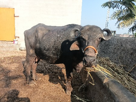 થંબનેલ 3