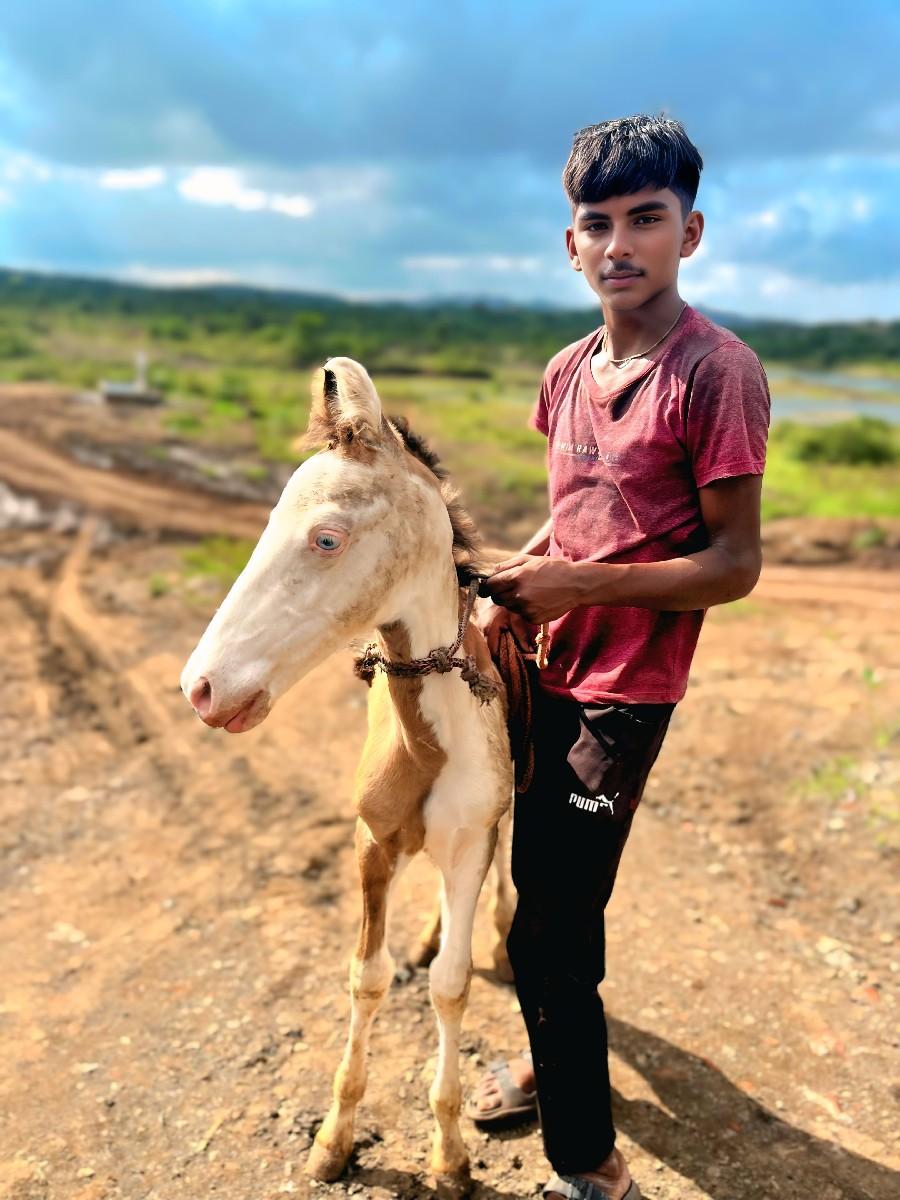 थंबनेल 2